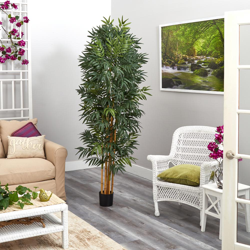 6.5ft. Phoenix Palm Artificial tree with Natural Trunk. Picture 4