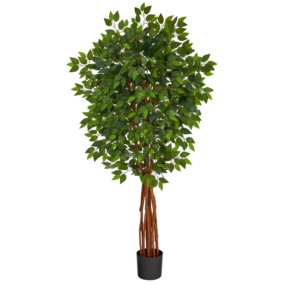 5.5ft. Super Deluxe Natural Trunk Ficus Artificial Tree with Natural Trunk. Picture 1