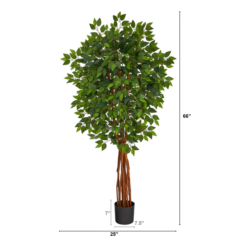 5.5ft. Super Deluxe Natural Trunk Ficus Artificial Tree with Natural Trunk. Picture 2