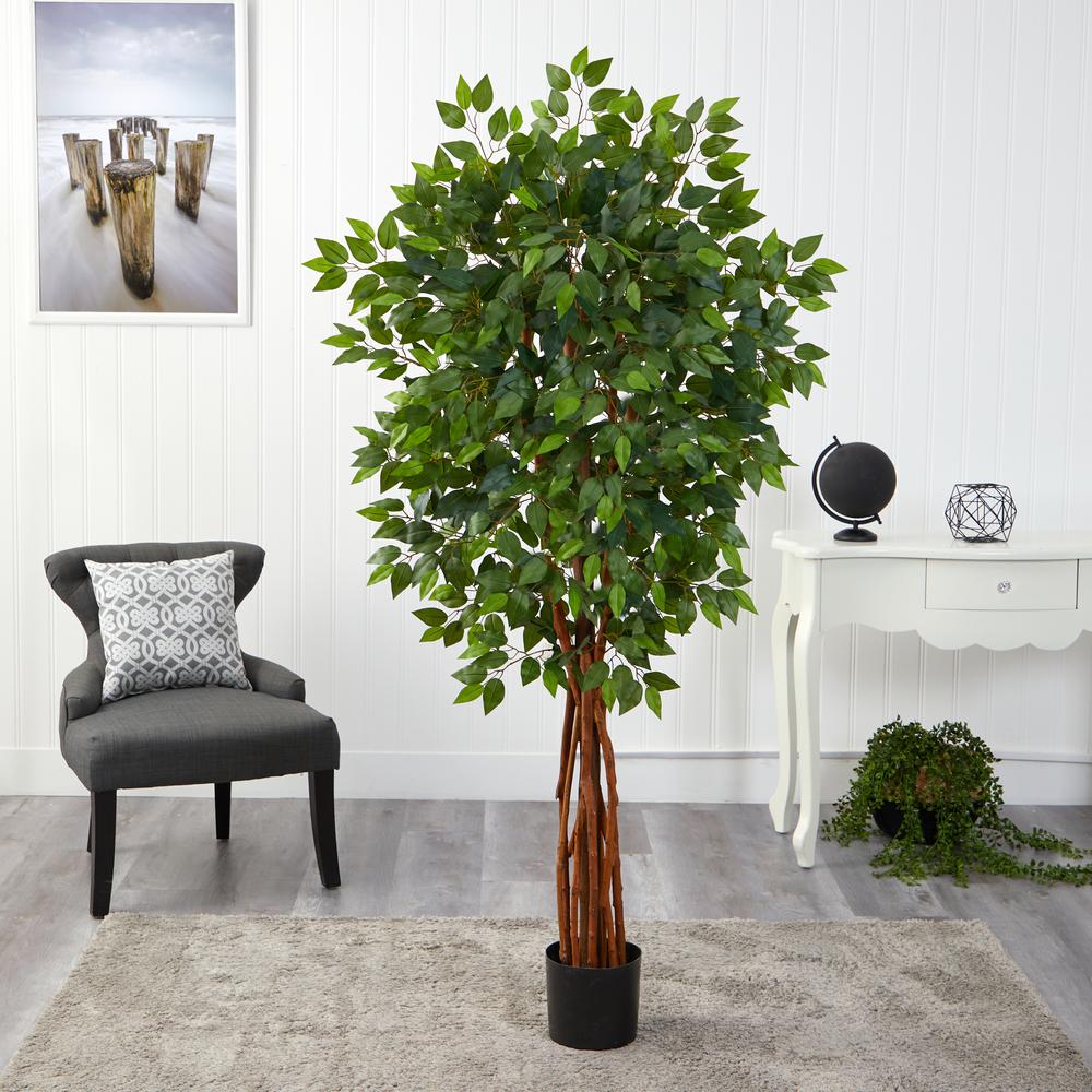 5.5ft. Super Deluxe Natural Trunk Ficus Artificial Tree with Natural Trunk. Picture 3