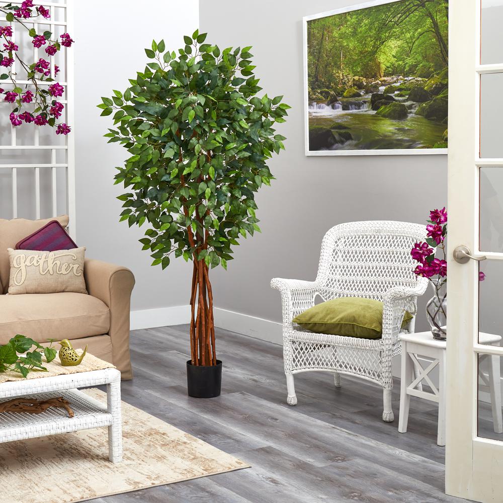 5.5ft. Super Deluxe Natural Trunk Ficus Artificial Tree with Natural Trunk. Picture 4