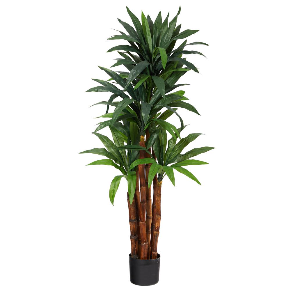 4.5ft. Dracaena Artificial Tree with Natural Trunk. Picture 1