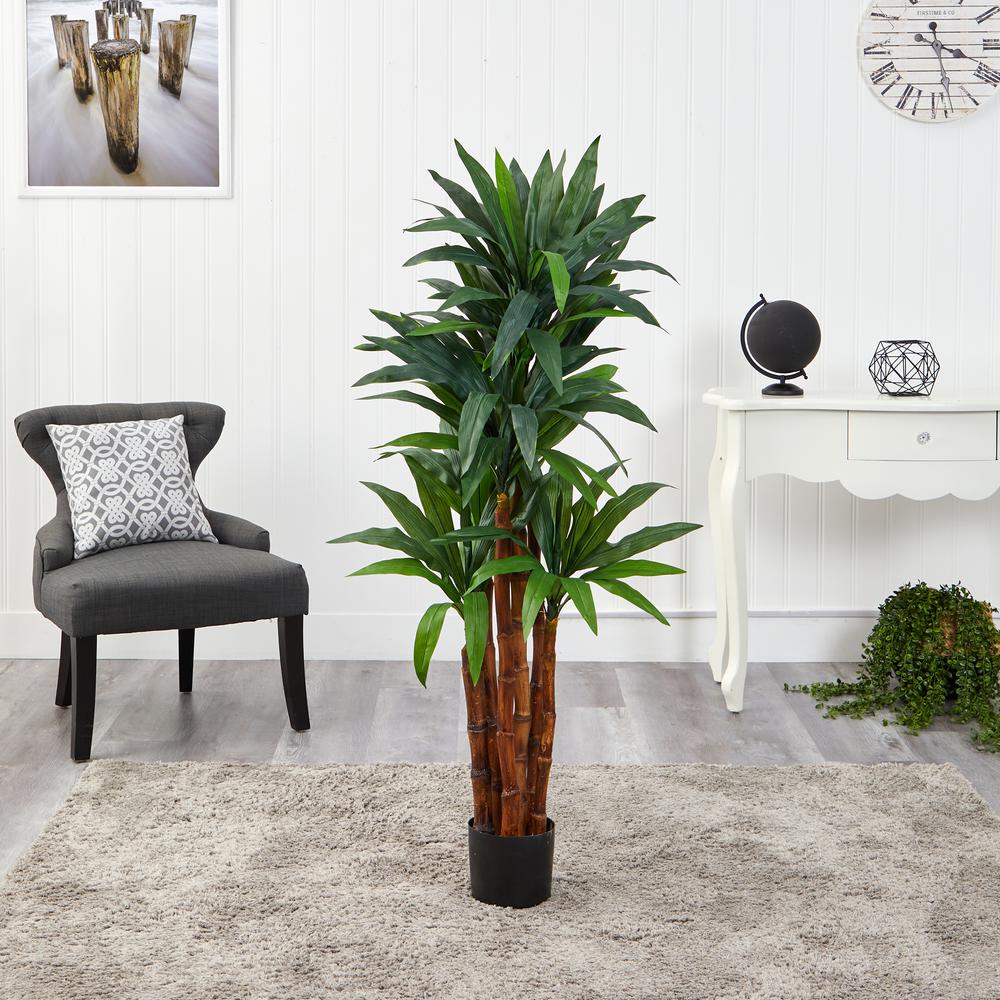4.5ft. Dracaena Artificial Tree with Natural Trunk. Picture 3