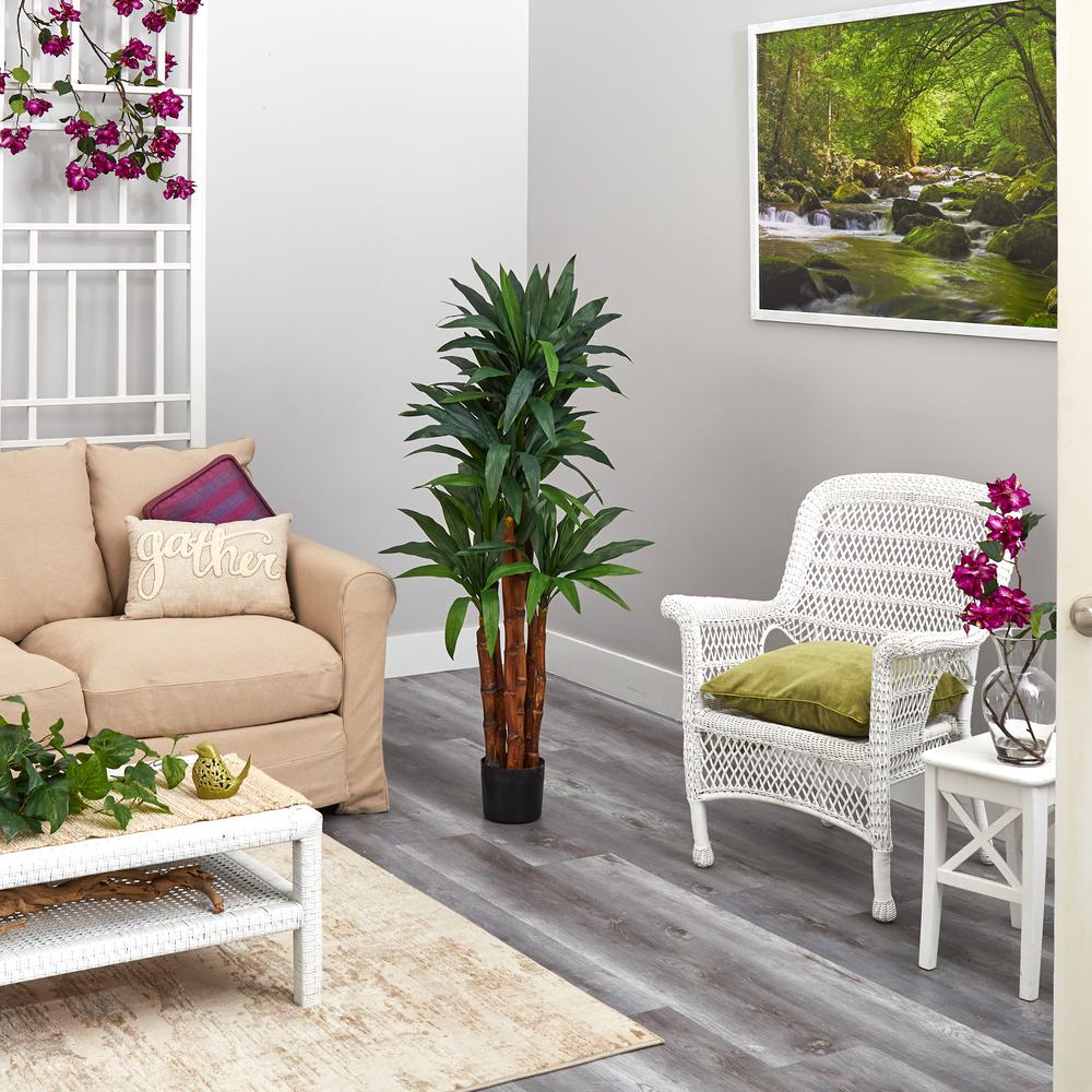 4.5ft. Dracaena Artificial Tree with Natural Trunk. Picture 4