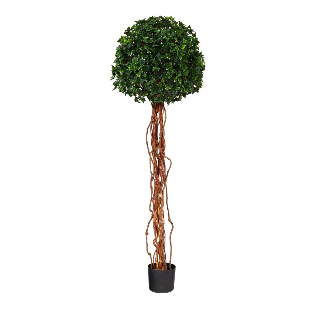 5.5ft. English Ivy Single Ball Artificial Topiary Tree with Natural Trunk. Picture 1