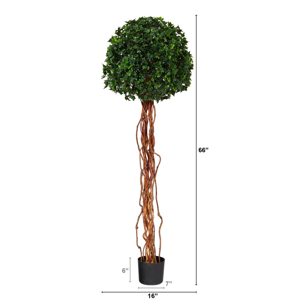 5.5ft. English Ivy Single Ball Artificial Topiary Tree with Natural Trunk. Picture 2