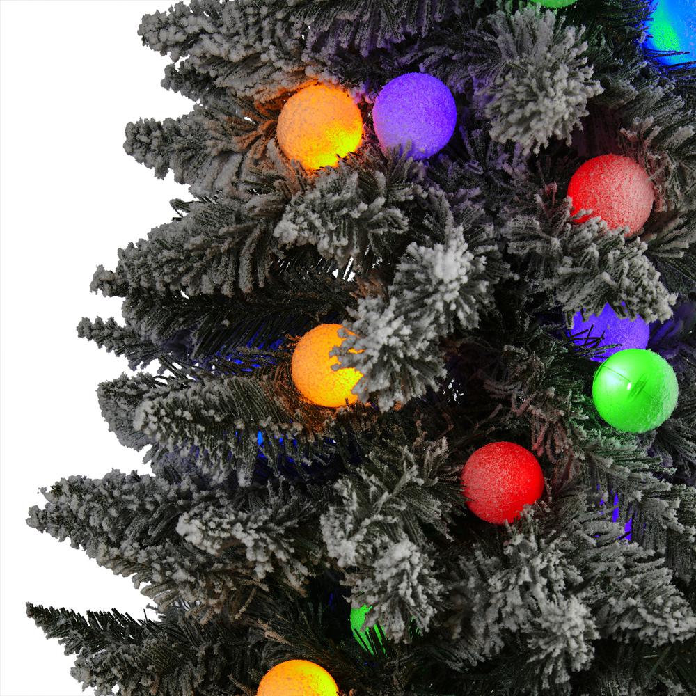 6.5ft. Flocked British Columbia Mountain Fir Artificial Christmas Tree. Picture 5