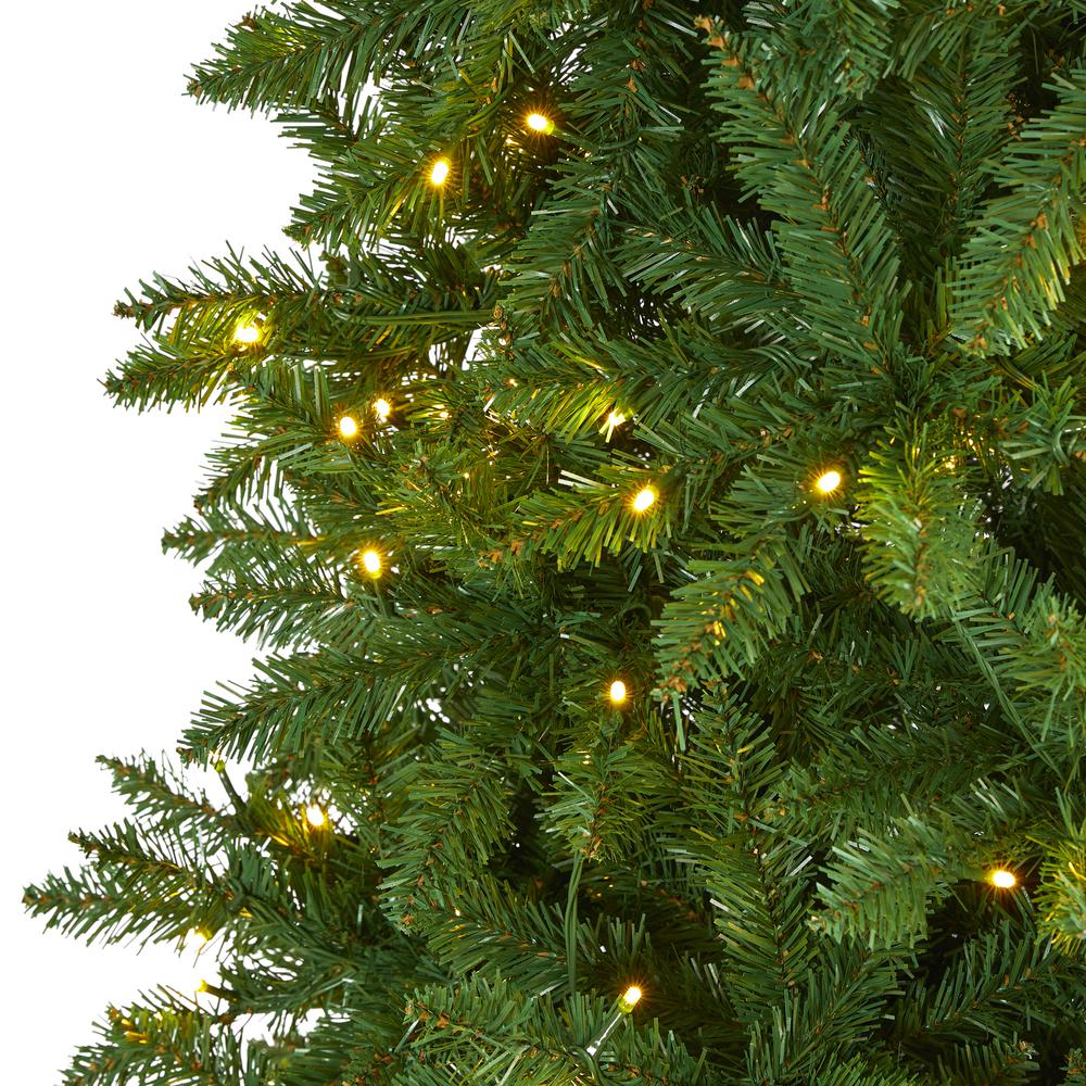 9ft. Slim Green Mountain Pine Artificial Christmas Tree with 600 Clear LED Lights. Picture 3