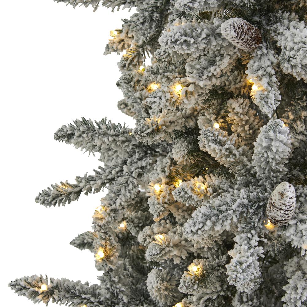 7.5ft. Flocked Livingston Fir Artificial Christmas Tree with Pine Cones and 500 Clear Warm LED Lights. Picture 4