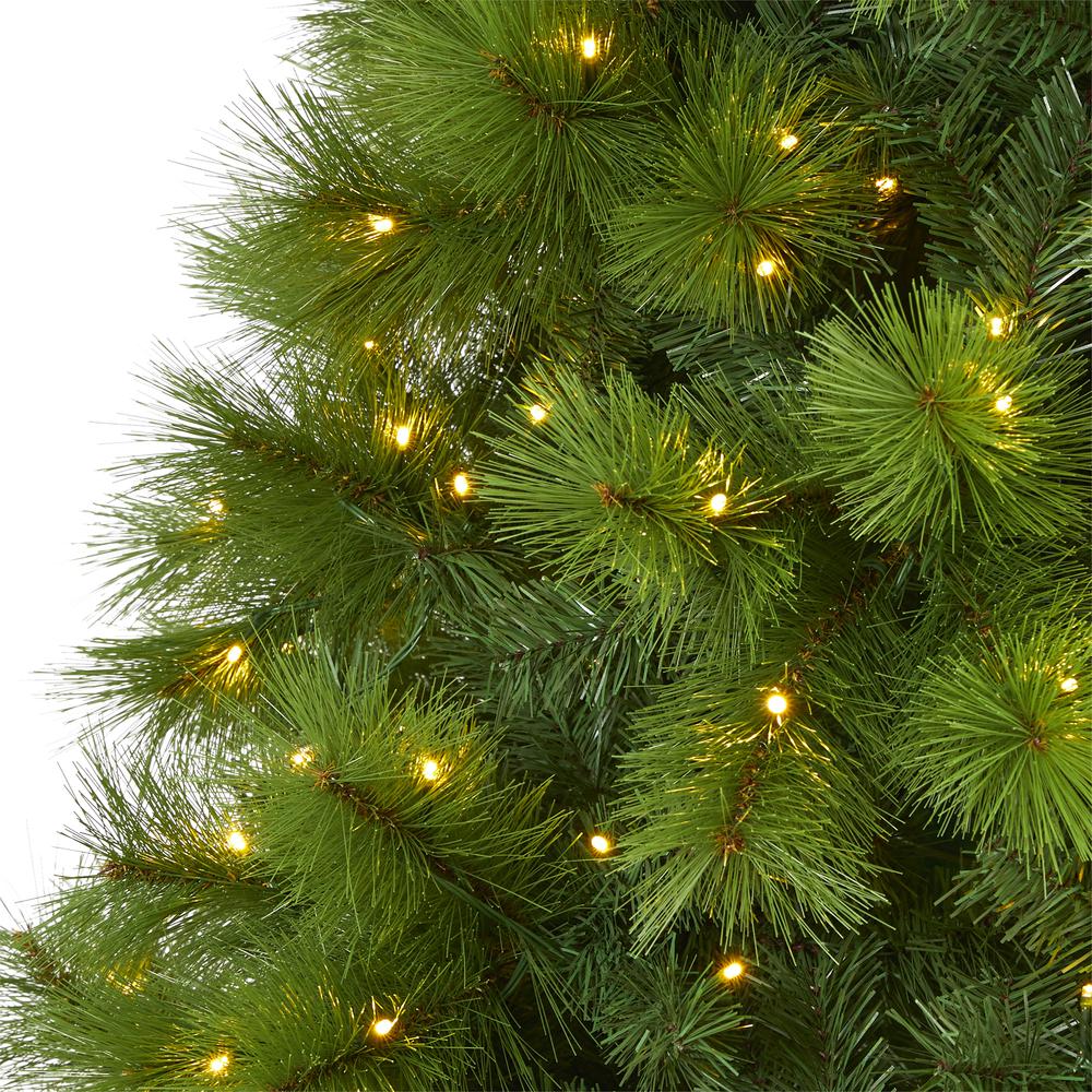 7.5ft. Green Scotch Pine Artificial Christmas Tree with 550 Clear LED Lights. Picture 4