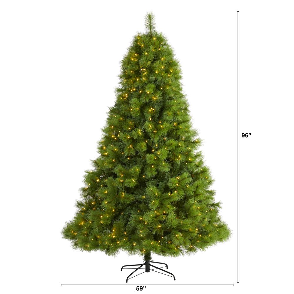 8ft. Green Scotch Pine Artificial Christmas Tree with 600 Clear LED Lights. Picture 2