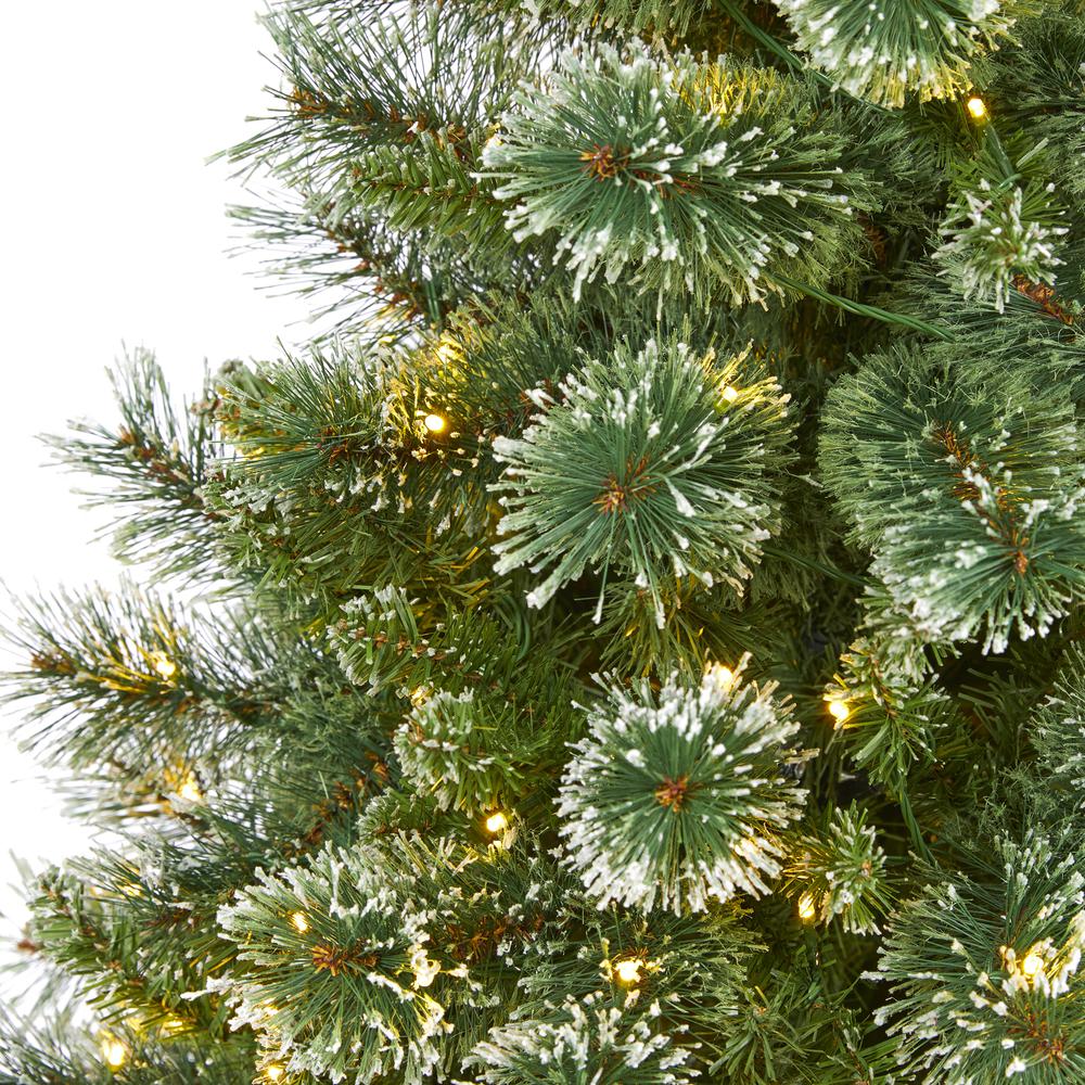 6ft. Wisconsin Slim Snow Tip Pine Artificial Christmas Tree with 300 Clear LED Lights. Picture 3