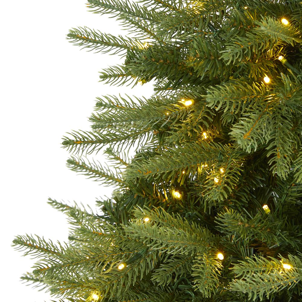 5ft. Vancouver Fir Natural Look Artificial Christmas Tree with 350 Clear LED Lights and 1054 Bendable Branches. Picture 2