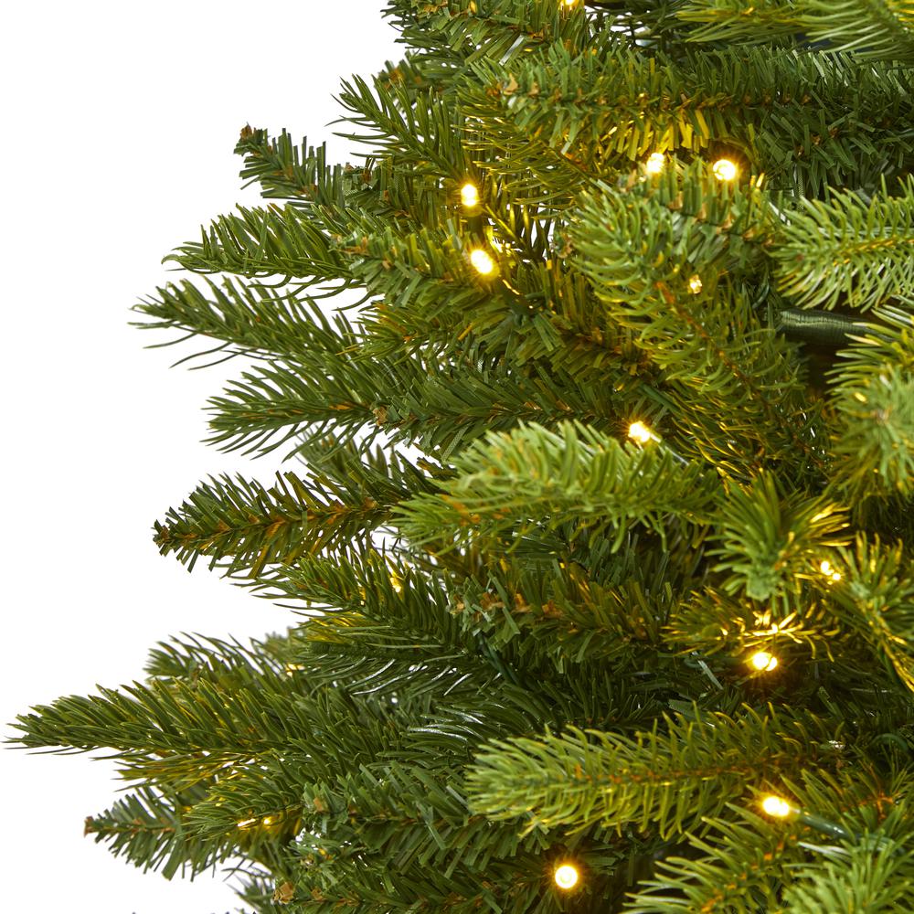 4ft. Sierra Spruce Natural Look Artificial Christmas Tree with 150 Clear LED Lights. Picture 4