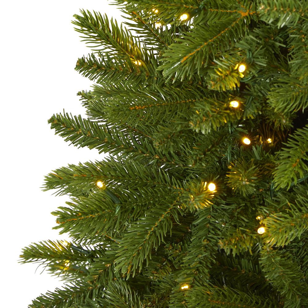 5ft. Sierra Spruce Natural Look Artificial Christmas Tree with 200 Clear LED Lights. Picture 3