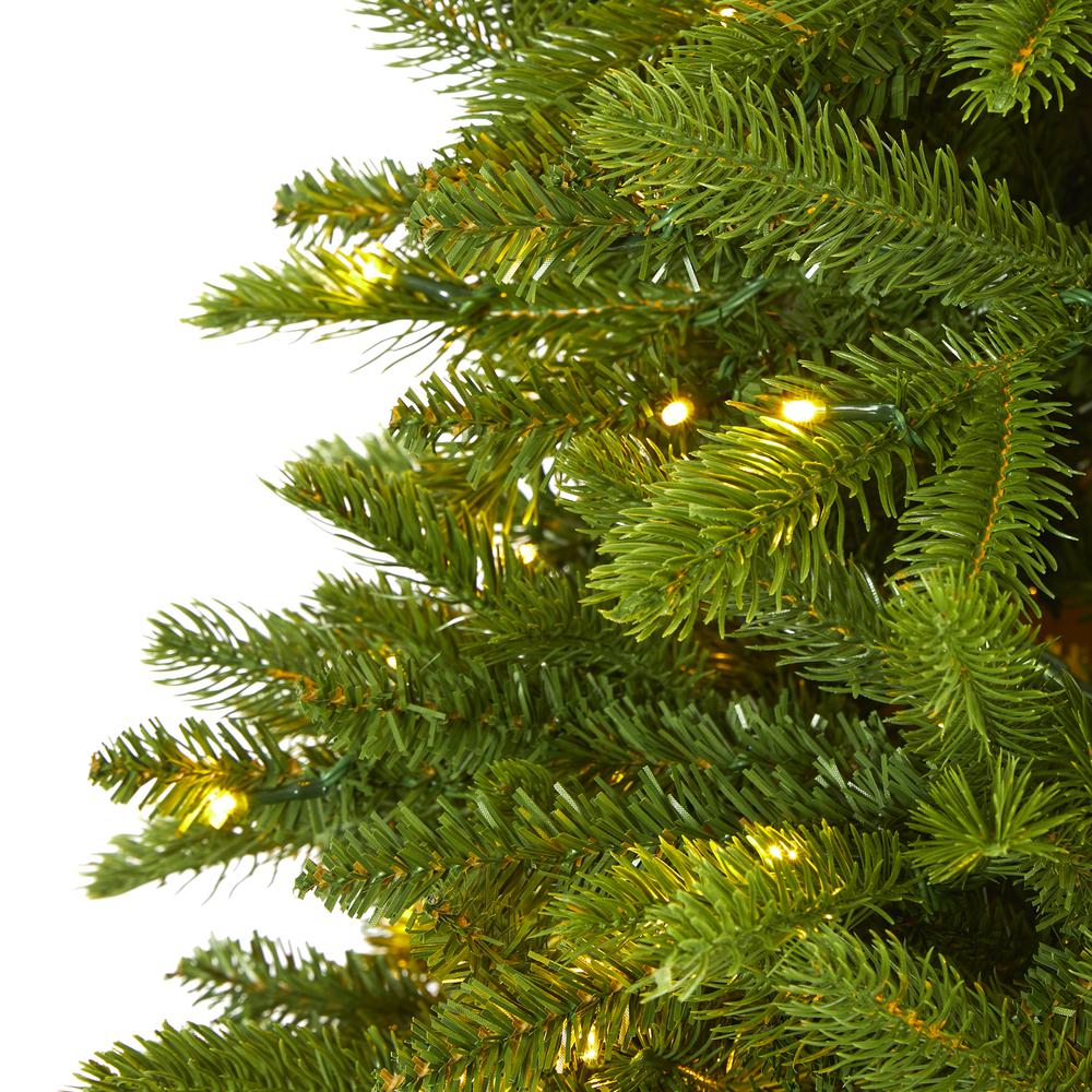 6ft. Sierra Spruce Natural Look Artificial Christmas Tree with 300 Clear LED Lights and 1357 Bendable Branches. Picture 2