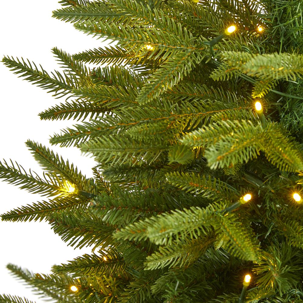 4ft. Colorado Mountain Fir Natural Look Artificial Christmas Tree with 150 Clear LED Lights. Picture 2