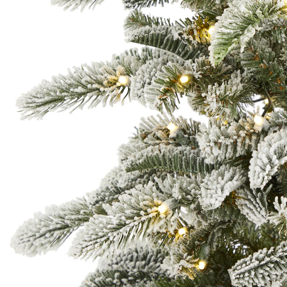 6.5ft. Flocked Washington Alpine Christmas Artificial Tree. Picture 4