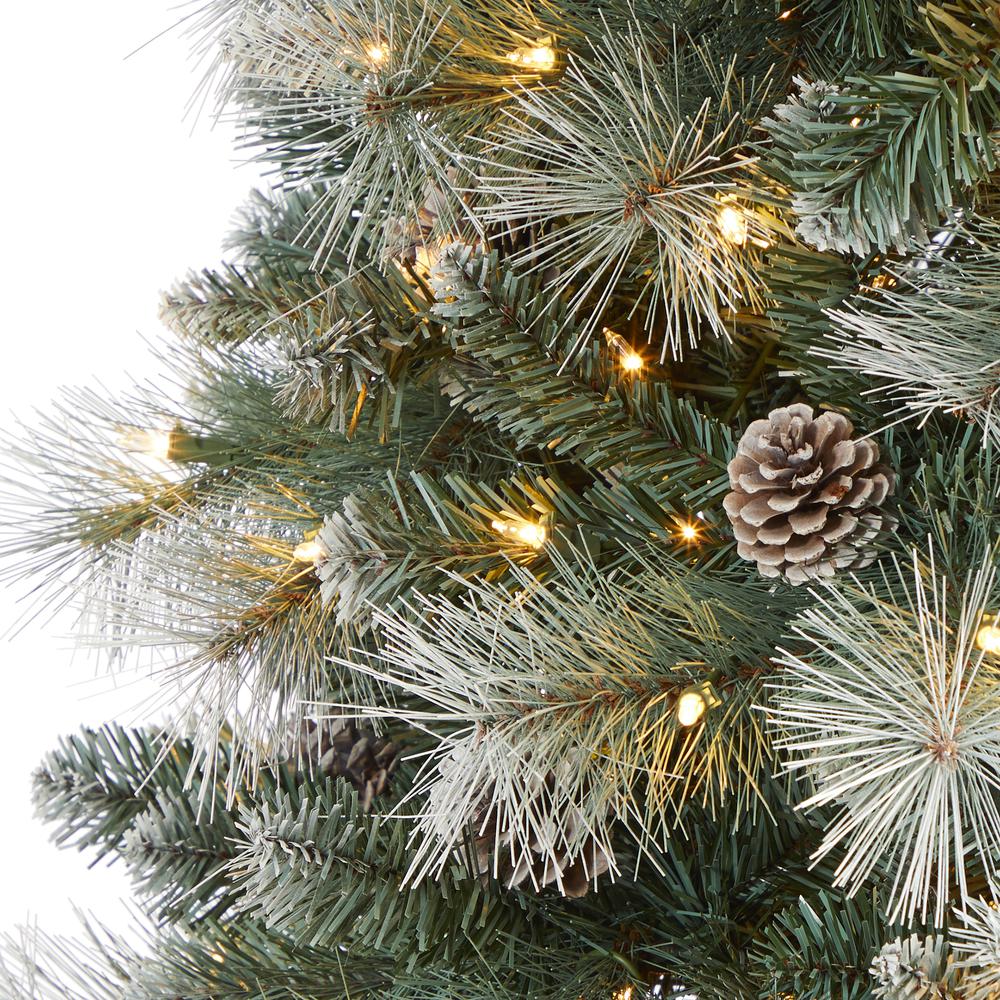 7ft. Frosted Tip British Columbia Mountain Pine Artificial Christmas Tree with 400 Clear Lights, Pine Cones and 882 Bendable Branches. Picture 4