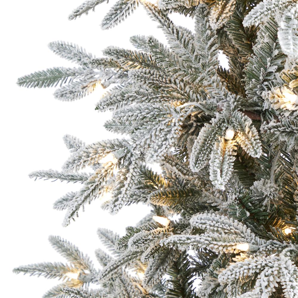 7.5ft. Flocked Manchester Spruce Artificial Christmas Tree. Picture 4