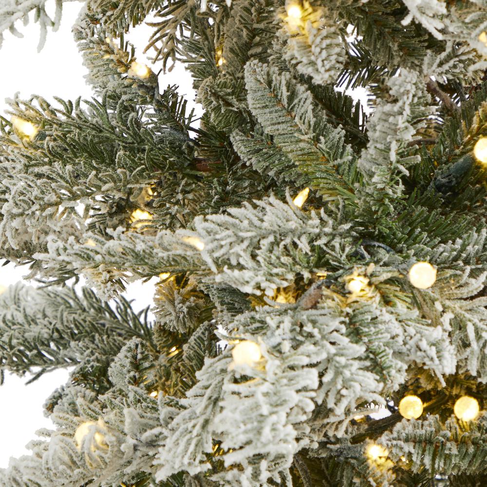 7.5ft. Slim Flocked Nova Scotia Spruce Artificial Christmas Tree. Picture 5