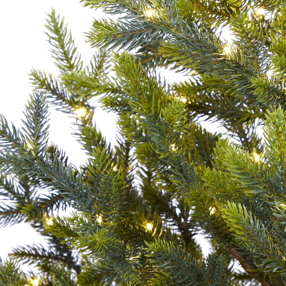 5ft. Fraser Fir Natural Look Artificial Christmas Tree. Picture 5