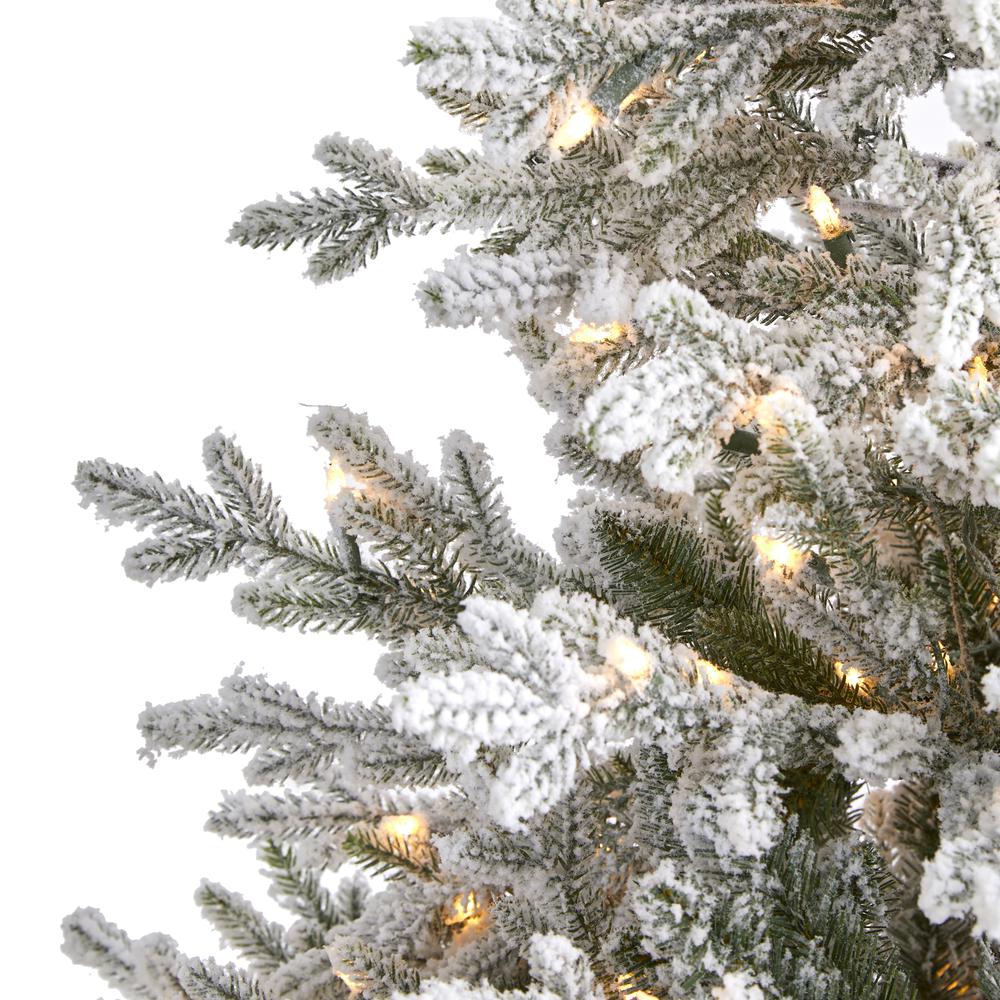 6ft. Flocked Fraser Fir Artificial Christmas Tree. Picture 4