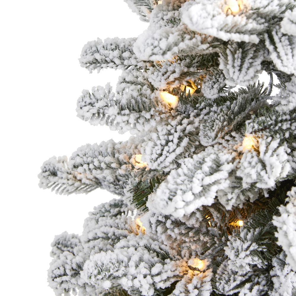 3ft. Flocked North Carolina Fir Artificial Christmas Tree. Picture 3