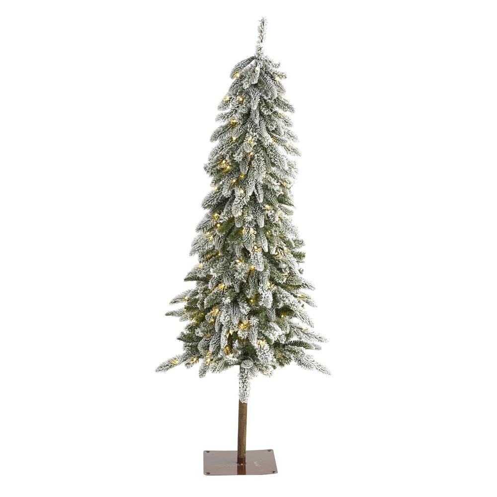 5.5ft. Flocked Washington Alpine Christmas Artificial Tree. Picture 1