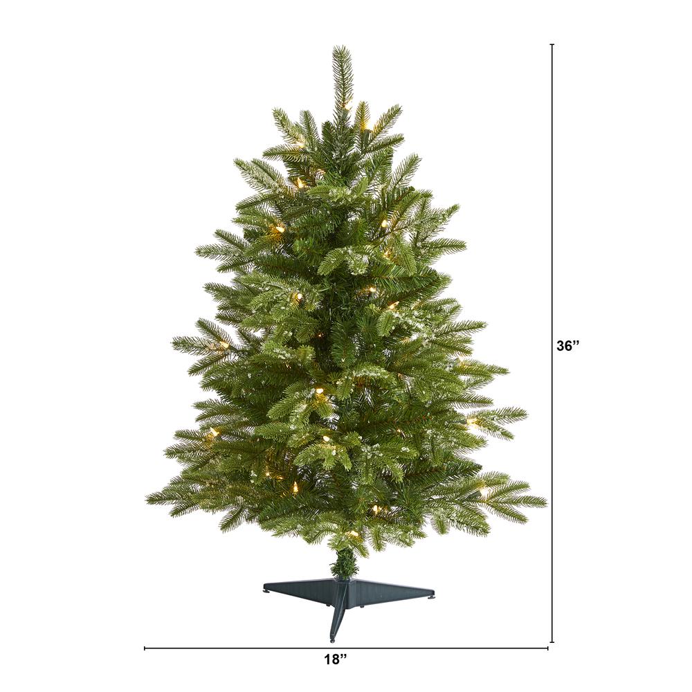 3ft. Snowed Grand Teton Fir Artificial Christmas Tree with 50 Clear Lights and 111 Bendable Branches. Picture 1