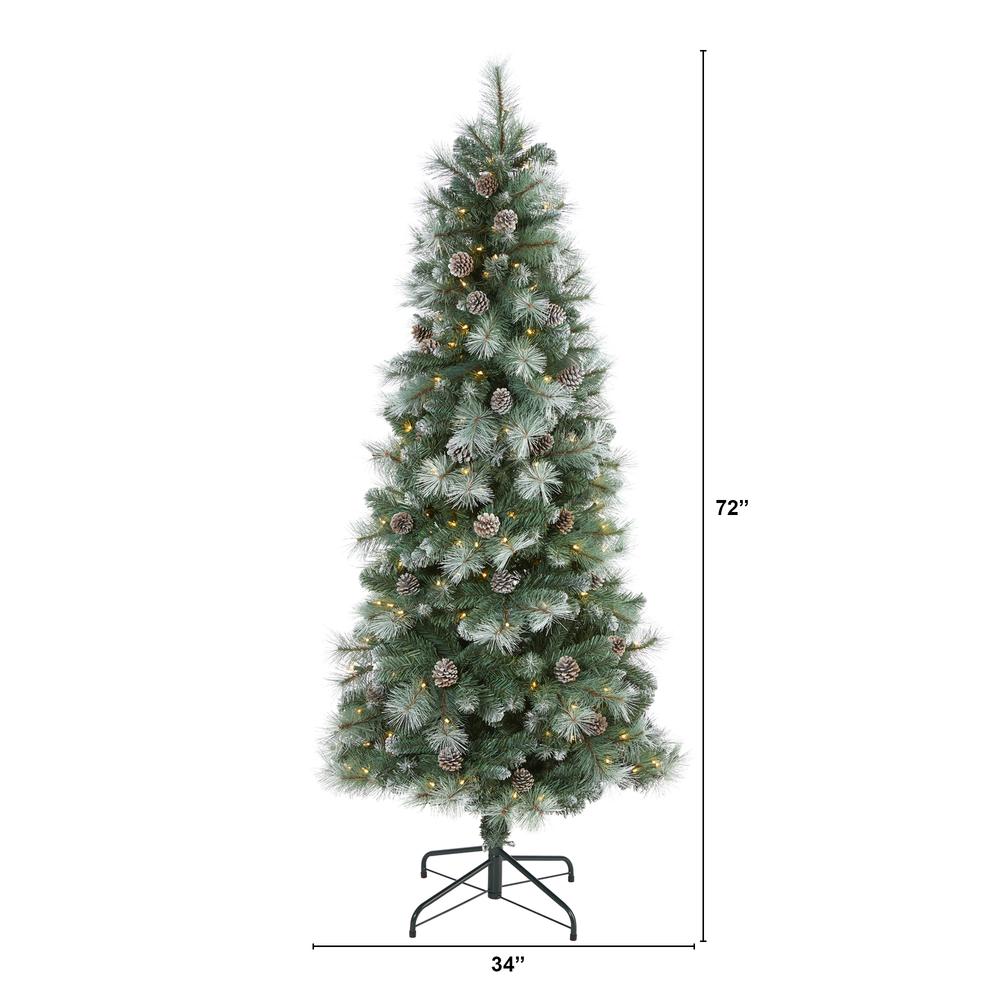 6ft. Frosted Tip British Columbia Mountain Pine Artificial Christmas Tree with 250 Clear Lights, Pine Cones and 588 Bendable Branches. Picture 1