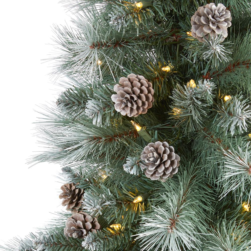 6ft. Frosted Tip British Columbia Mountain Pine Artificial Christmas Tree with 250 Clear Lights, Pine Cones and 588 Bendable Branches. Picture 2