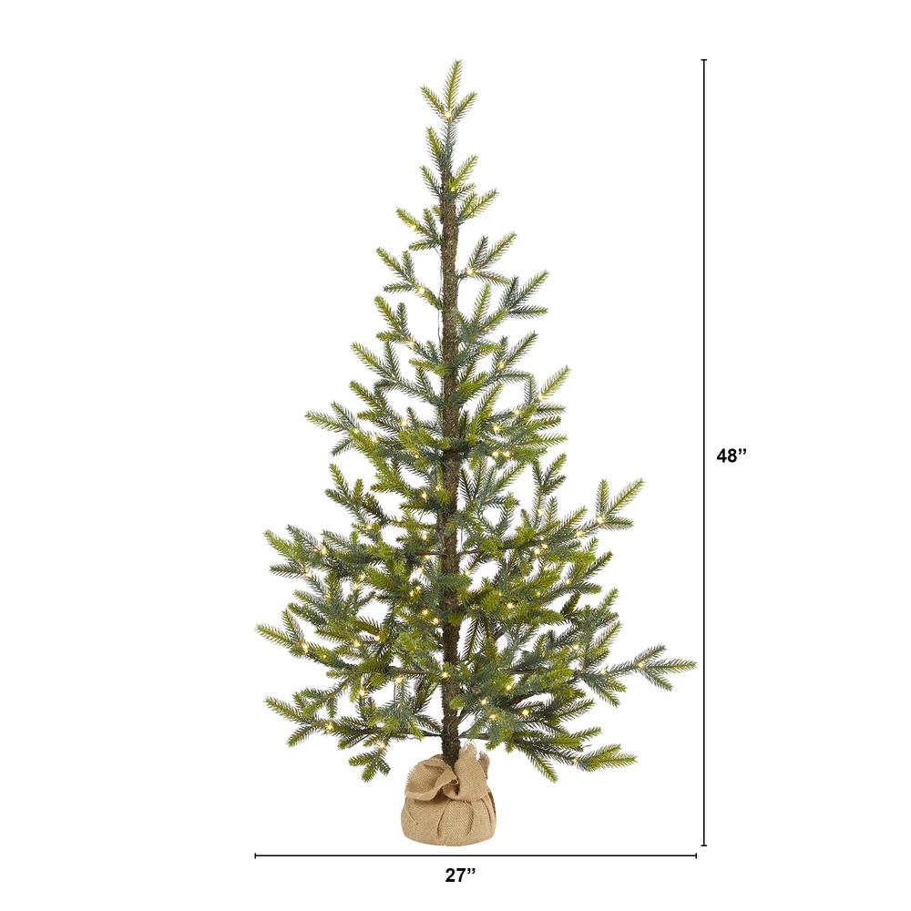 4ft. Fraser Fir Natural Look Artificial Christmas Tree with 100 Clear LED Lights, a Burlap Base and 403 Bendable Branches. Picture 1