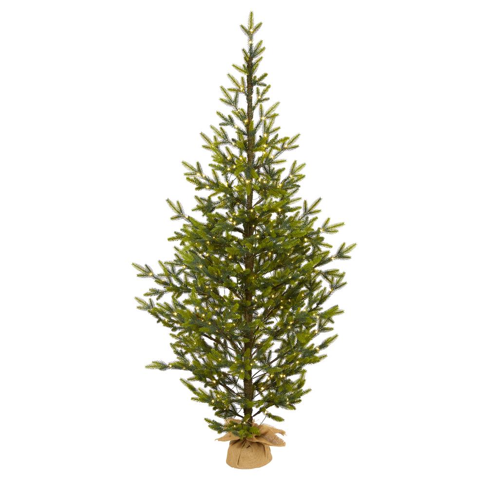 6ft. Fraser Fir Natural Look Artificial Christmas Tree with 250 Clear LED Lights, a Burlap Base and 1243 Bendable Branches. Picture 2