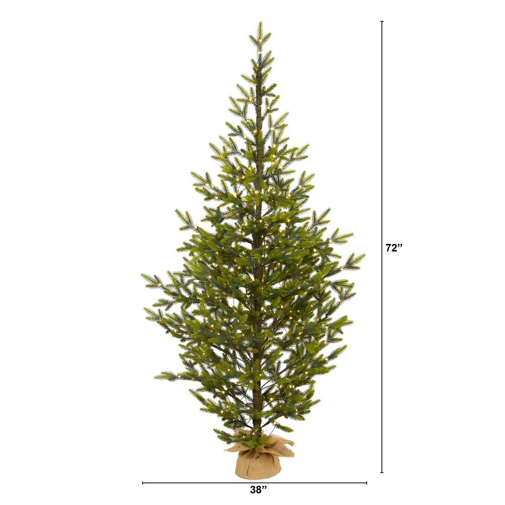 6ft. Fraser Fir Natural Look Artificial Christmas Tree with 250 Clear LED Lights, a Burlap Base and 1243 Bendable Branches. Picture 1