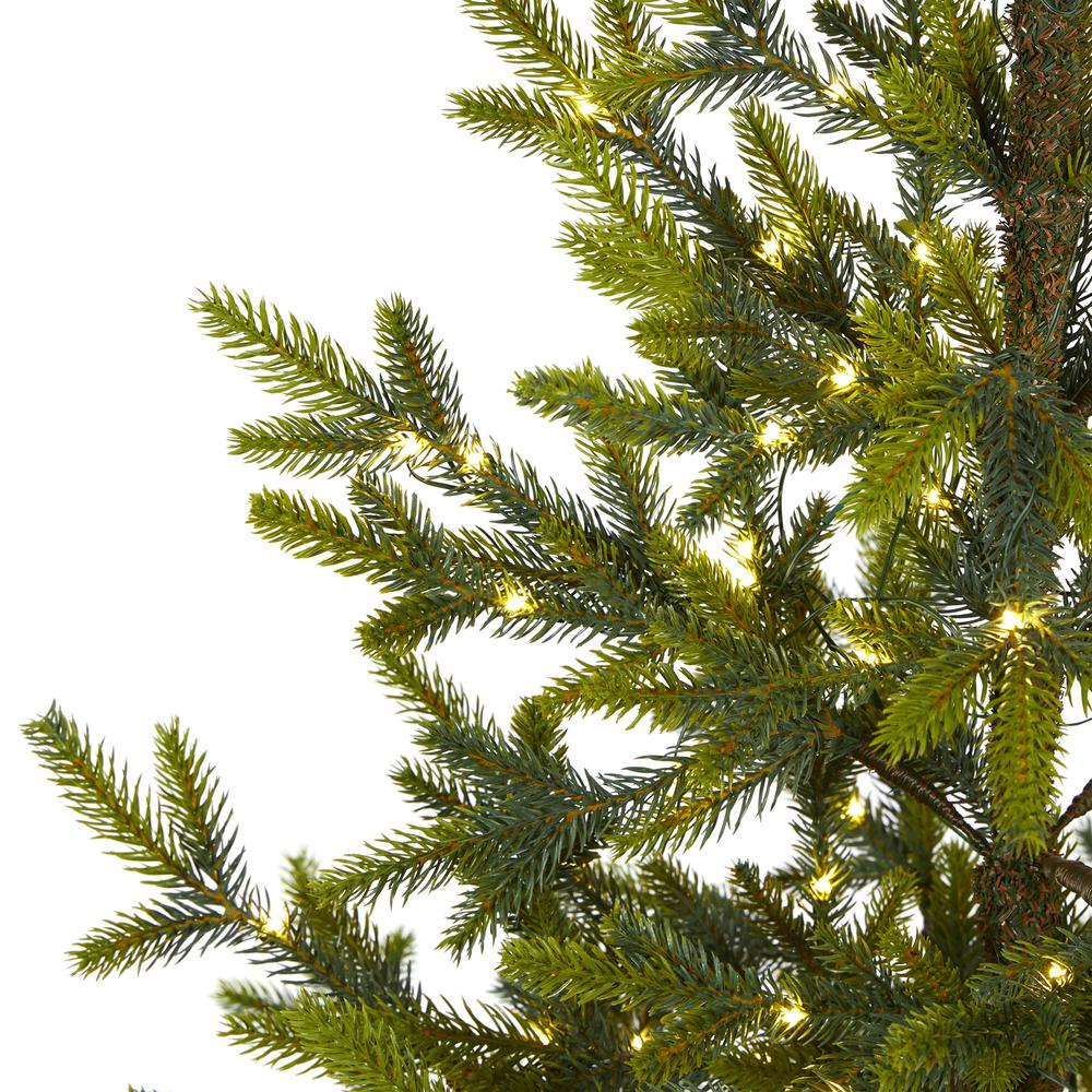 6ft. Fraser Fir Natural Look Artificial Christmas Tree with 250 Clear LED Lights, a Burlap Base and 1243 Bendable Branches. Picture 3