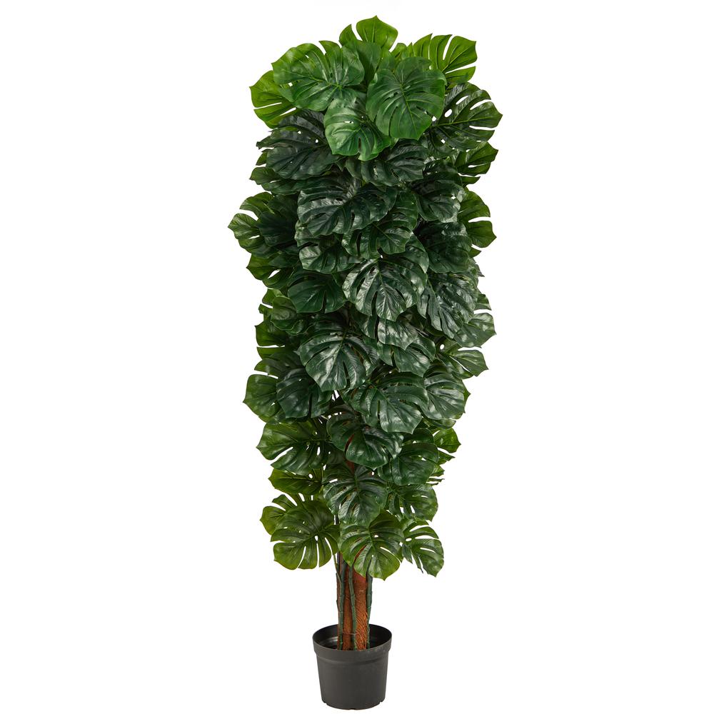 70in. Monstera Artificial Tree (Indoor/Outdoor). Picture 1