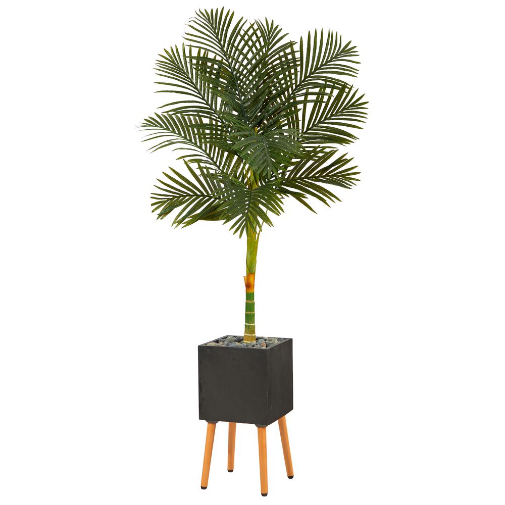6ft. Golden Cane Artificial Palm Tree in Black Planter with Stand. Picture 1