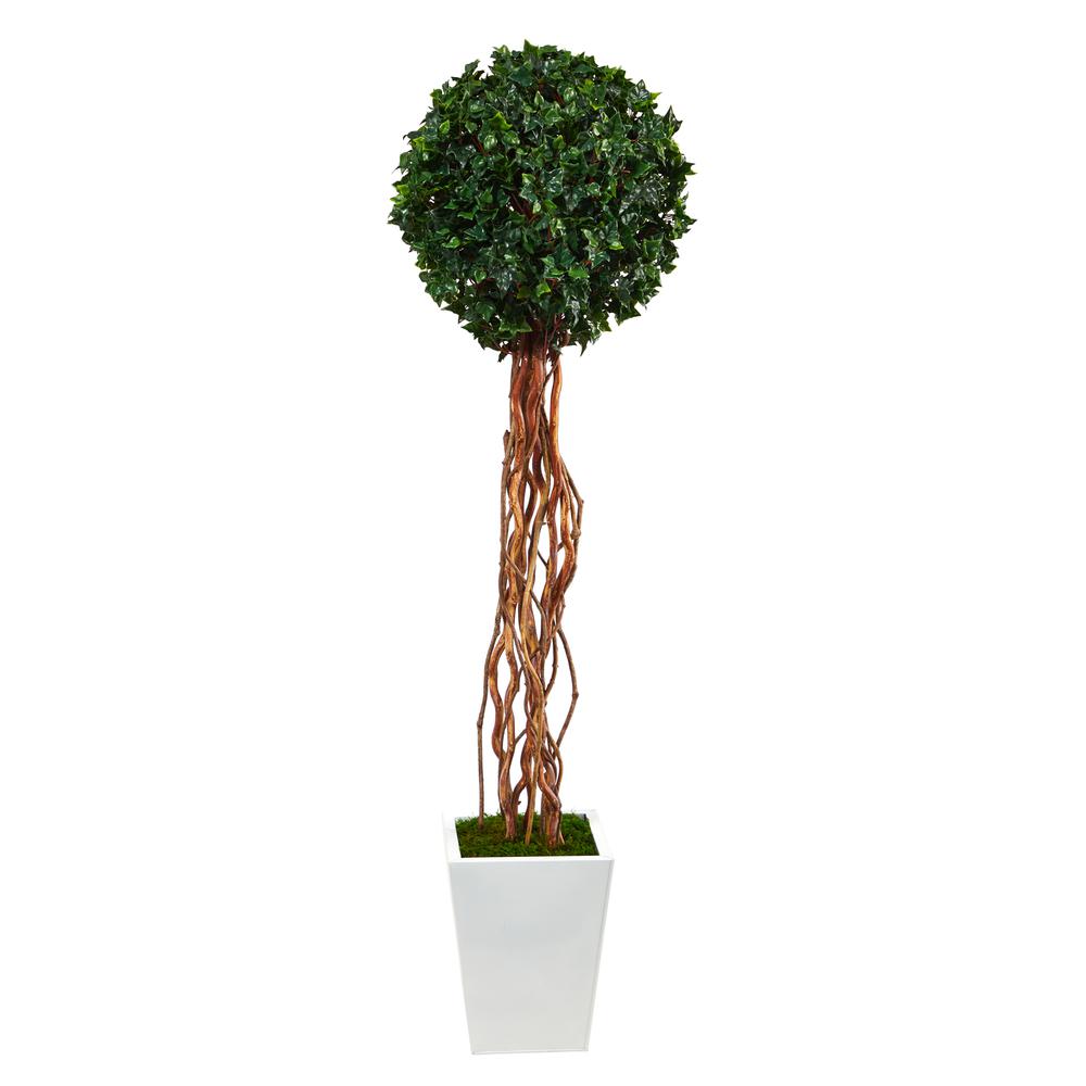 62in. English Ivy Single Ball Artificial Topiary Tree in White Metal Planter. Picture 1