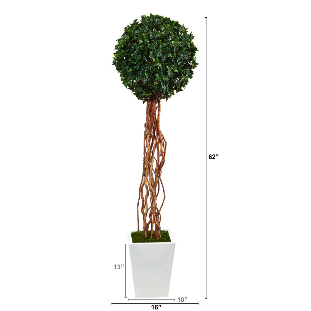 62in. English Ivy Single Ball Artificial Topiary Tree in White Metal Planter. Picture 2