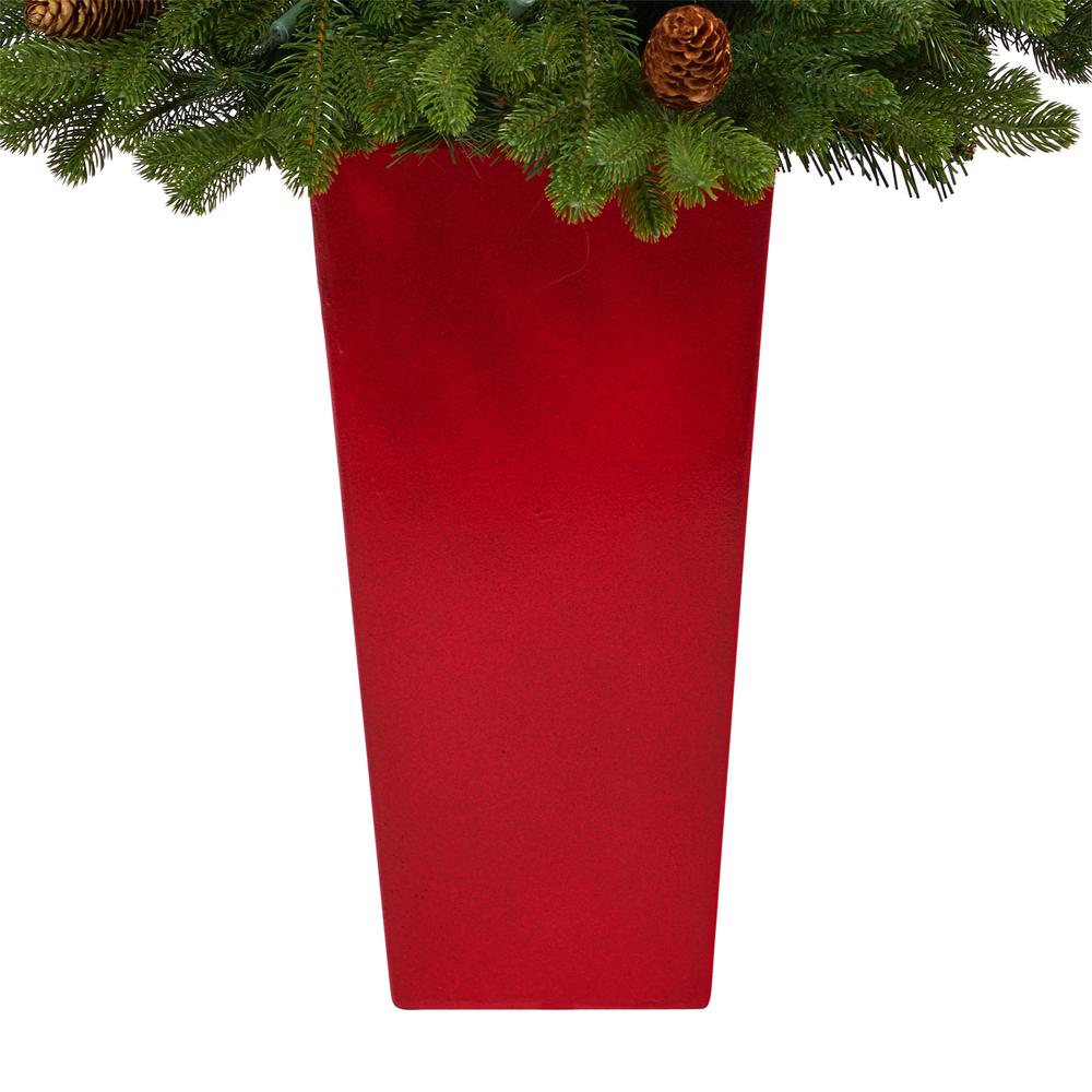 3.5ft. Yukon Mountain Fir Artificial Christmas Tree with 50 Clear Lights. Picture 6