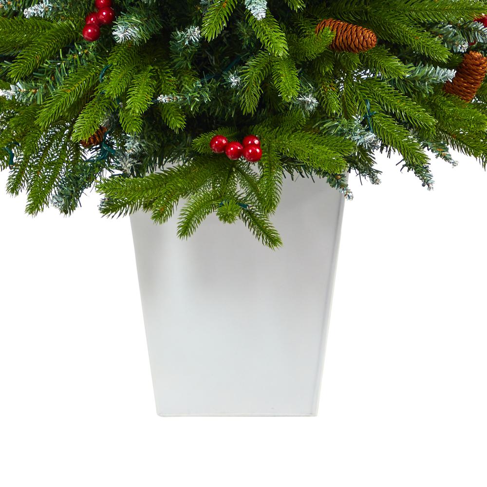 56in. Snow Tipped Portland Spruce Artificial Christmas Tree. Picture 6