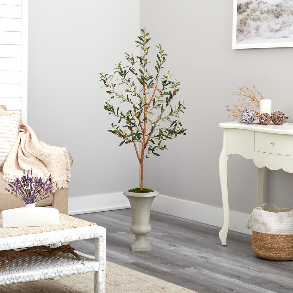 57in. Olive Artificial Tree in Sand Colored Urn. Picture 4