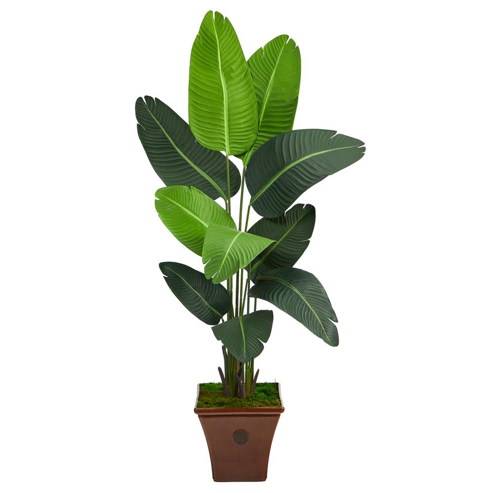 5.5ft. Travelers Palm Artificial Tree in Brown Planter. Picture 1