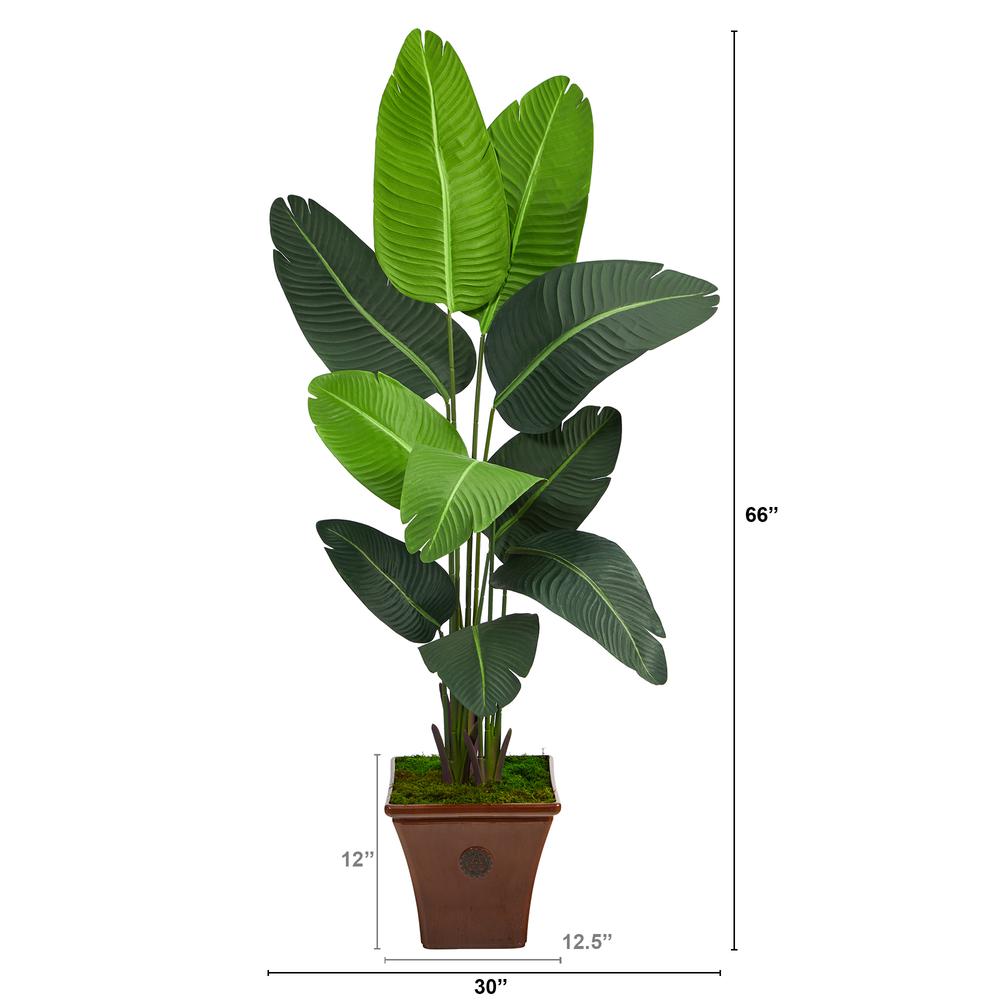 5.5ft. Travelers Palm Artificial Tree in Brown Planter. Picture 2
