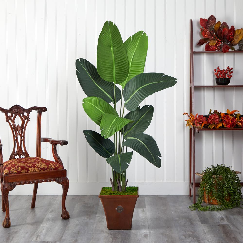 5.5ft. Travelers Palm Artificial Tree in Brown Planter. Picture 3