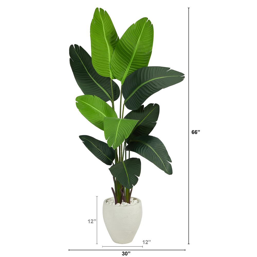 5.5ft. Travelers Palm Artificial Tree in White Planter. Picture 3
