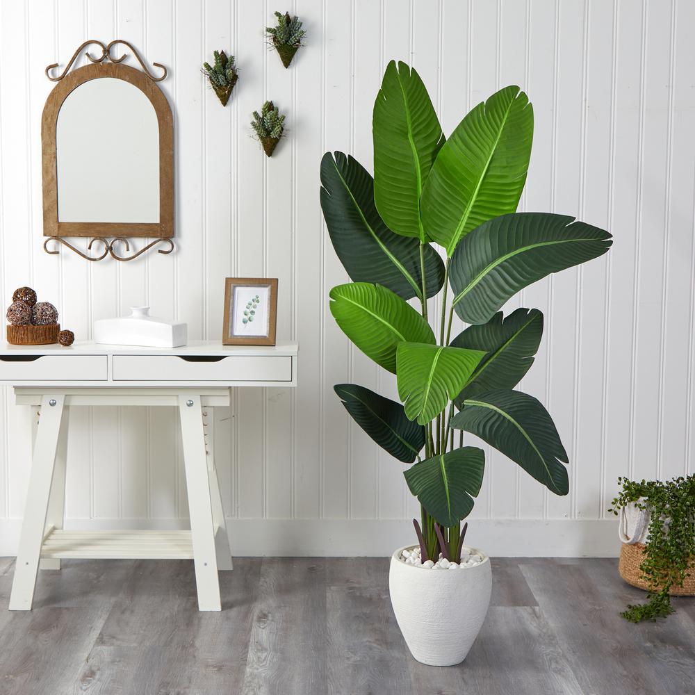 5.5ft. Travelers Palm Artificial Tree in White Planter. Picture 2