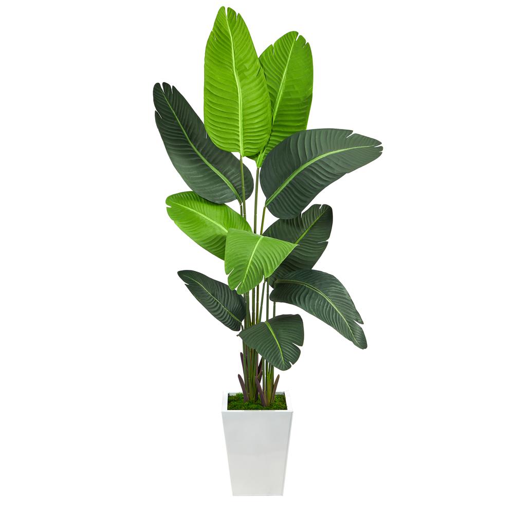5.5ft. Travelers Palm Artificial Tree in White Metal Planter. Picture 1