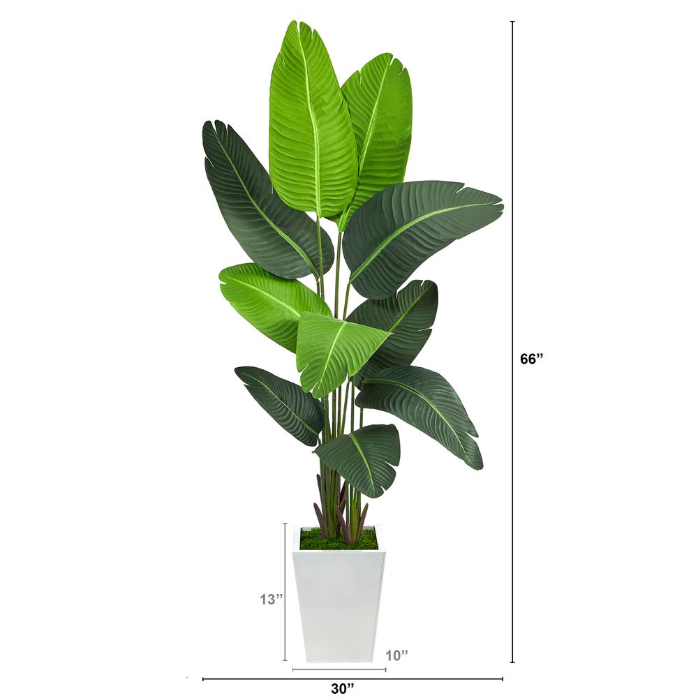 5.5ft. Travelers Palm Artificial Tree in White Metal Planter. Picture 2